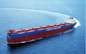 中远海散船队(IT系统远程可视化管理)